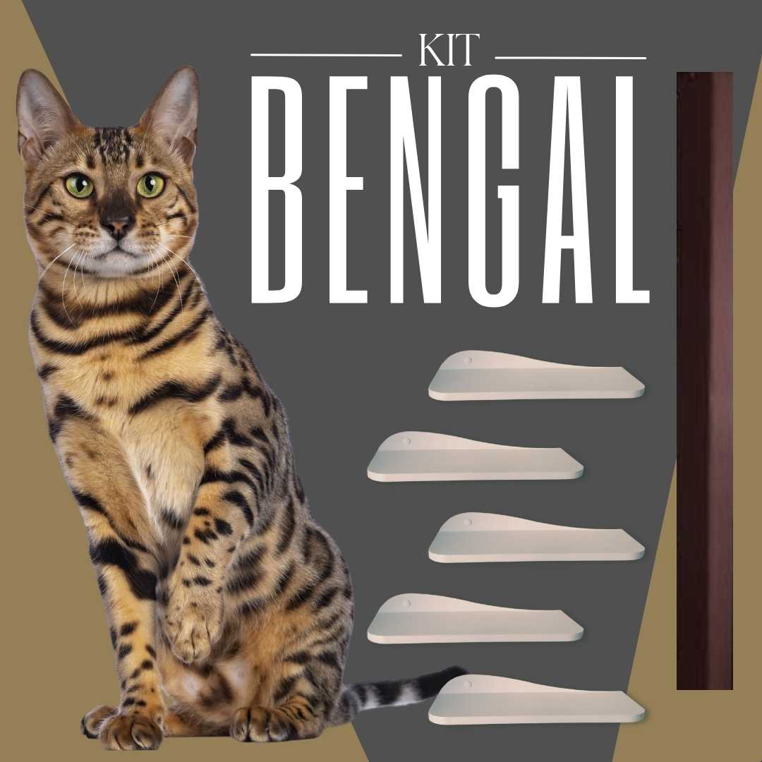 Kit Bengal